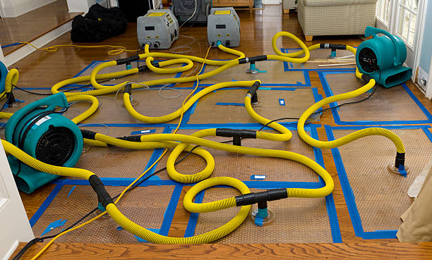 Professional Burst Pipe Water Damage technician working in East Bridgewater, MA